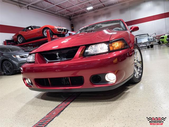 2003 Ford Mustang SVT Cobra (CC-2063713) for sale in Glen Ellyn, Illinois