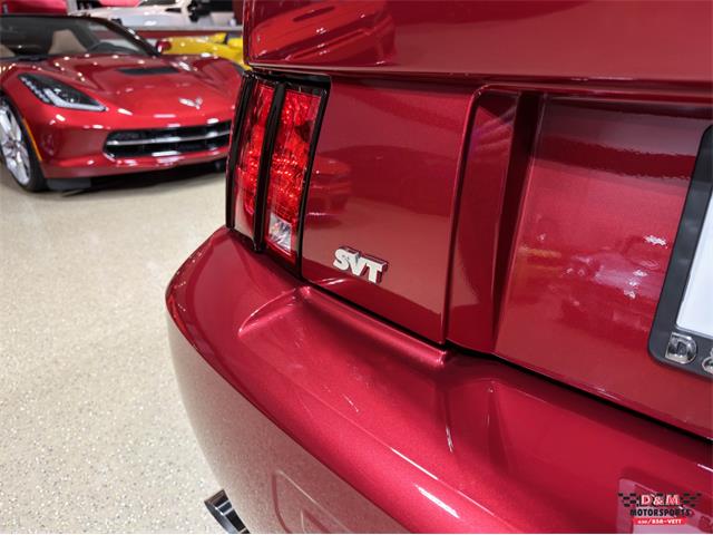 2003 Ford Mustang SVT Cobra (CC-2063713) for sale in Glen Ellyn, Illinois