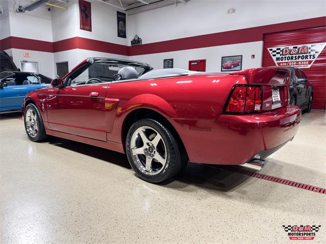 2003 Ford Mustang SVT Cobra (CC-2063713) for sale in Glen Ellyn, Illinois