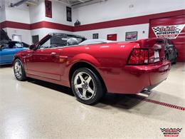 2003 Ford Mustang SVT Cobra (CC-2063713) for sale in Glen Ellyn, Illinois
