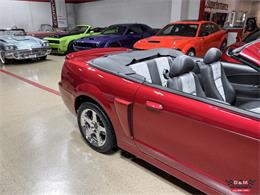 2003 Ford Mustang SVT Cobra (CC-2063713) for sale in Glen Ellyn, Illinois