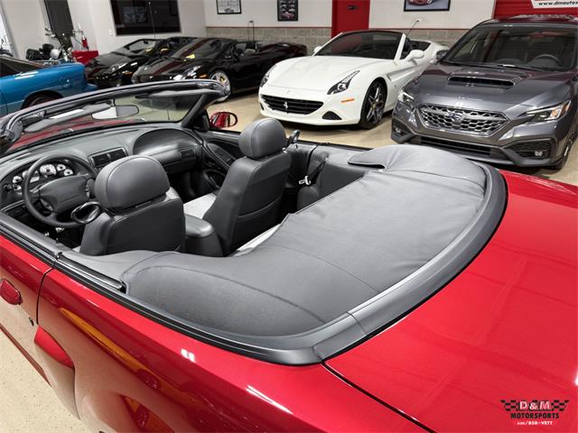 2003 Ford Mustang SVT Cobra (CC-2063713) for sale in Glen Ellyn, Illinois