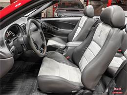 2003 Ford Mustang SVT Cobra (CC-2063713) for sale in Glen Ellyn, Illinois