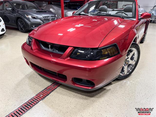 2003 Ford Mustang SVT Cobra (CC-2063713) for sale in Glen Ellyn, Illinois