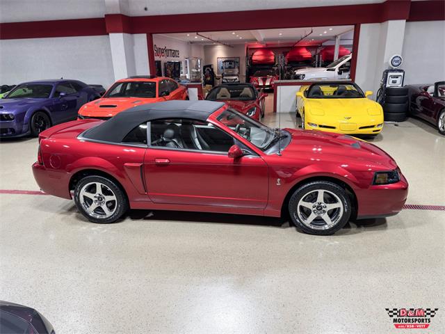 2003 Ford Mustang SVT Cobra (CC-2063713) for sale in Glen Ellyn, Illinois