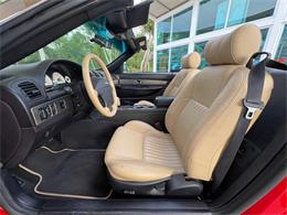 2005 Ford Thunderbird (CC-2063843) for sale in Bradenton, Florida