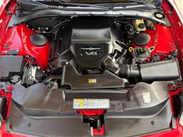 2005 Ford Thunderbird (CC-2063843) for sale in Bradenton, Florida
