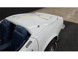 1971 Chevrolet Corvette (CC-2063850) for sale in Mankato, Minnesota