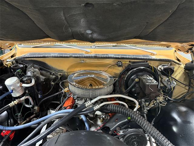 1977 Chevrolet K-10 (CC-2063871) for sale in Pittsburgh, Pennsylvania