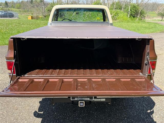 1978 Chevrolet Fleetside (CC-2063933) for sale in Salem, Ohio