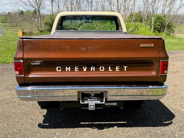 1978 Chevrolet Fleetside (CC-2063933) for sale in Salem, Ohio