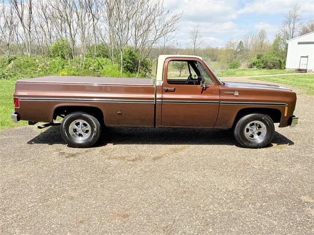 1978 Chevrolet Fleetside (CC-2063933) for sale in Salem, Ohio