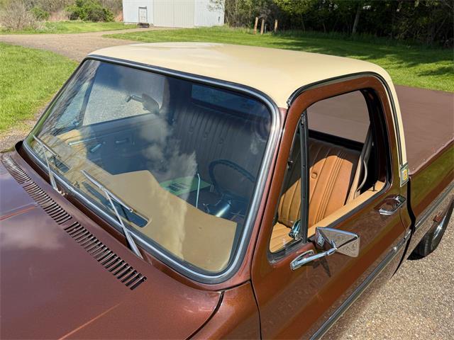 1978 Chevrolet Fleetside (CC-2063933) for sale in Salem, Ohio