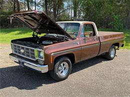 1978 Chevrolet Fleetside (CC-2063933) for sale in Salem, Ohio