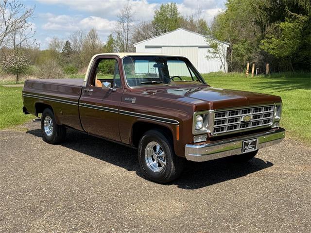 1978 Chevrolet Fleetside (CC-2063933) for sale in Salem, Ohio
