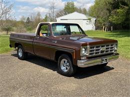 1978 Chevrolet Fleetside (CC-2063933) for sale in Salem, Ohio