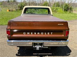 1978 Chevrolet Fleetside (CC-2063933) for sale in Salem, Ohio