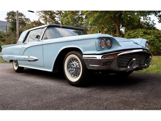 1959 Ford Thunderbird (CC-2064014) for sale in Highland Falls, New York