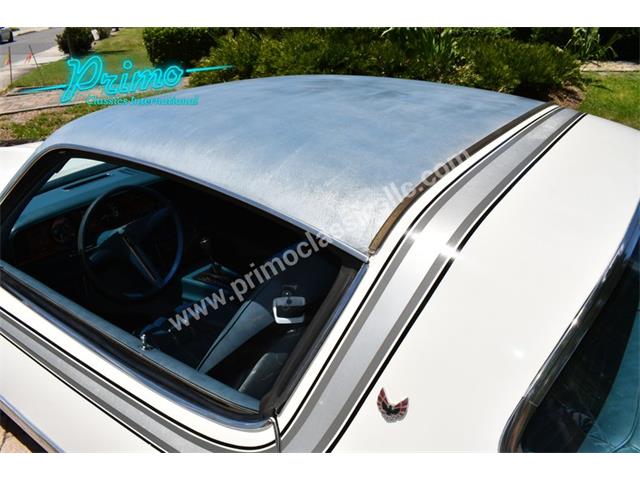 1976 Pontiac Firebird (CC-2064173) for sale in Lakeland, Florida