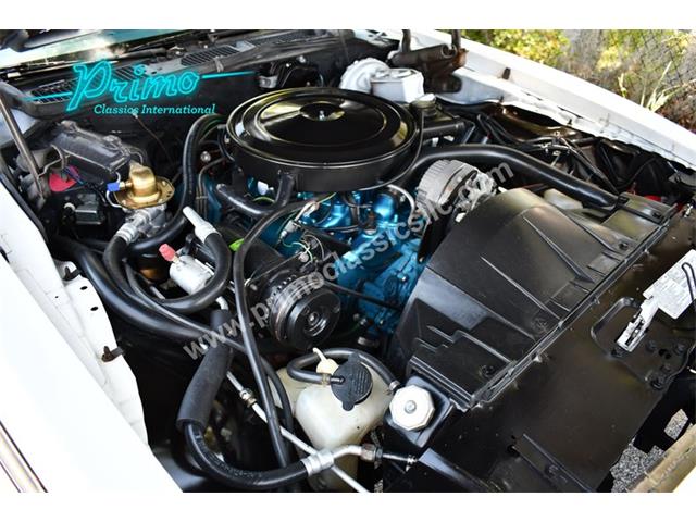 1976 Pontiac Firebird (CC-2064173) for sale in Lakeland, Florida