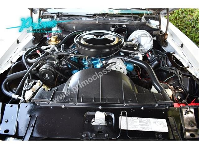 1976 Pontiac Firebird (CC-2064173) for sale in Lakeland, Florida