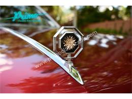 1981 Pontiac Bonneville (CC-2064488) for sale in Lakeland, Florida