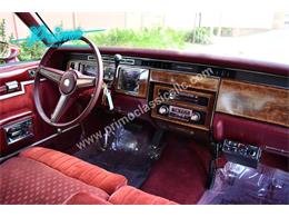 1981 Pontiac Bonneville (CC-2064488) for sale in Lakeland, Florida
