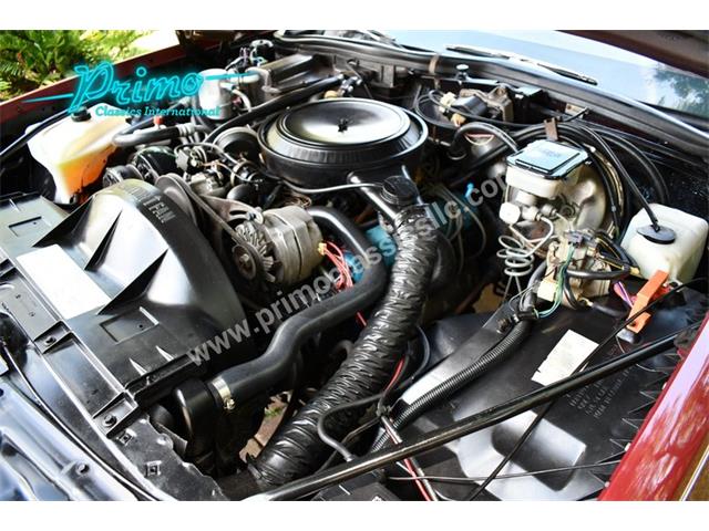 1981 Pontiac Bonneville (CC-2064488) for sale in Lakeland, Florida