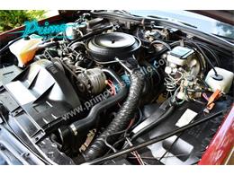 1981 Pontiac Bonneville (CC-2064488) for sale in Lakeland, Florida