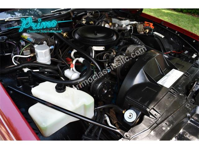 1981 Pontiac Bonneville (CC-2064488) for sale in Lakeland, Florida