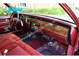 1981 Pontiac Bonneville (CC-2064488) for sale in Lakeland, Florida