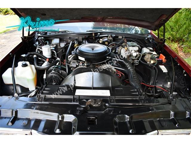 1981 Pontiac Bonneville (CC-2064488) for sale in Lakeland, Florida