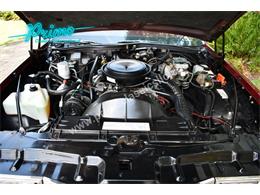 1981 Pontiac Bonneville (CC-2064488) for sale in Lakeland, Florida