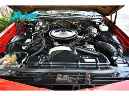 1974 Oldsmobile Cutlass (CC-2064489) for sale in Lakeland, Florida