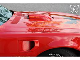 1975 Pontiac Firebird (CC-2064742) for sale in Ruskin, Florida