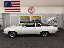 1974 Pontiac Ventura (CC-2064840) for sale in Mundelein, Illinois