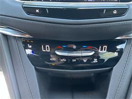 2023 Cadillac XT5 (CC-2064853) for sale in Paducah, Kentucky