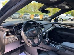2023 Cadillac XT5 (CC-2064853) for sale in Paducah, Kentucky