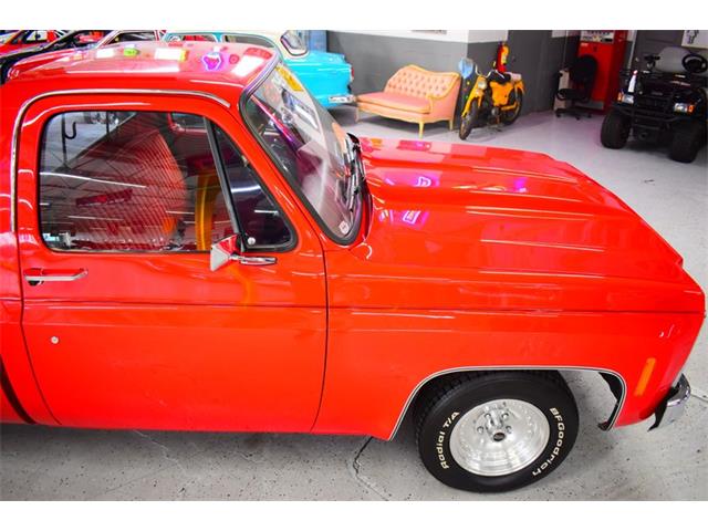 1979 Chevrolet C10 (CC-2064942) for sale in Wayne, Michigan
