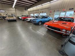 1977 Ford Maverick (CC-2064989) for sale in Effingham, Illinois