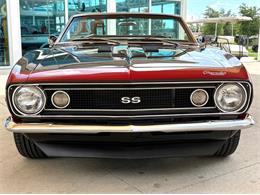 1968 Chevrolet Camaro (CC-2065094) for sale in Bradington, Florida