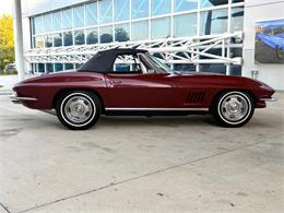1967 Chevrolet Corvette (CC-2065097) for sale in Bradington, Florida