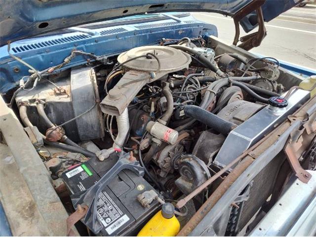 1979 Ford F250 (CC-2065132) for sale in Cadillac, Michigan