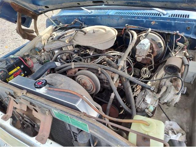 1979 Ford F250 (CC-2065132) for sale in Cadillac, Michigan