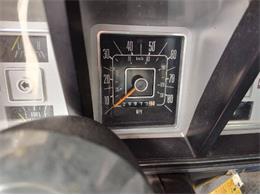 1979 Ford F250 (CC-2065132) for sale in Cadillac, Michigan