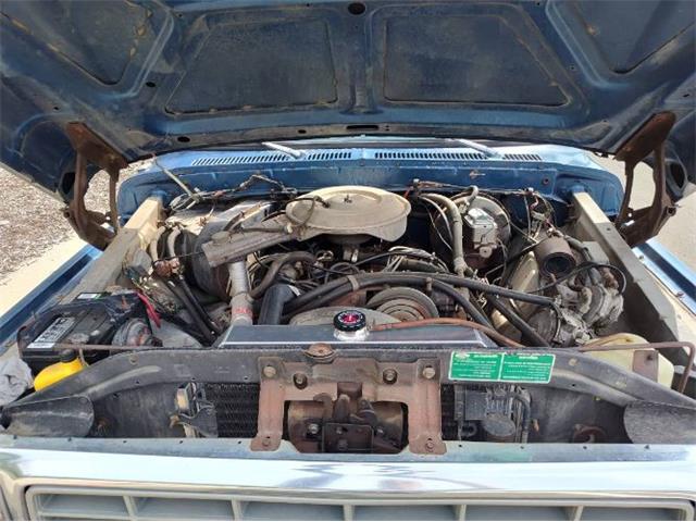 1979 Ford F250 (CC-2065132) for sale in Cadillac, Michigan