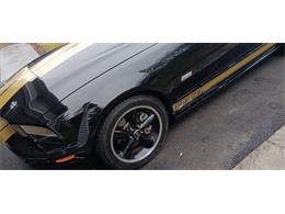 2007 Ford Mustang Shelby GTH (CC-2065149) for sale in Carlisle, Pennsylvania