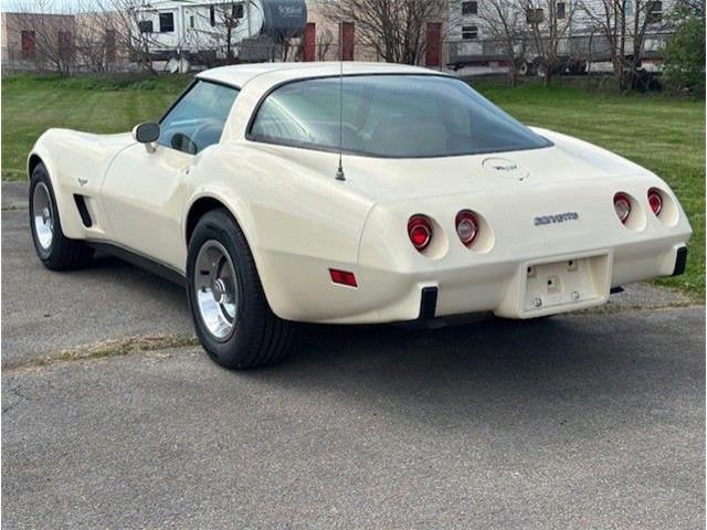 1979 Chevrolet Corvette (CC-2065159) for sale in Carlisle, Pennsylvania