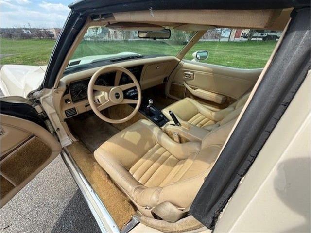 1979 Chevrolet Corvette (CC-2065159) for sale in Carlisle, Pennsylvania