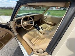 1979 Chevrolet Corvette (CC-2065159) for sale in Carlisle, Pennsylvania